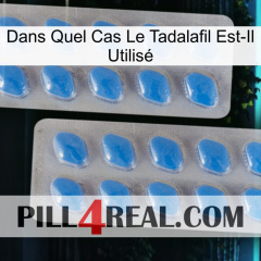 Dans Quel Cas Le Tadalafil Est-Il Utilisé 23